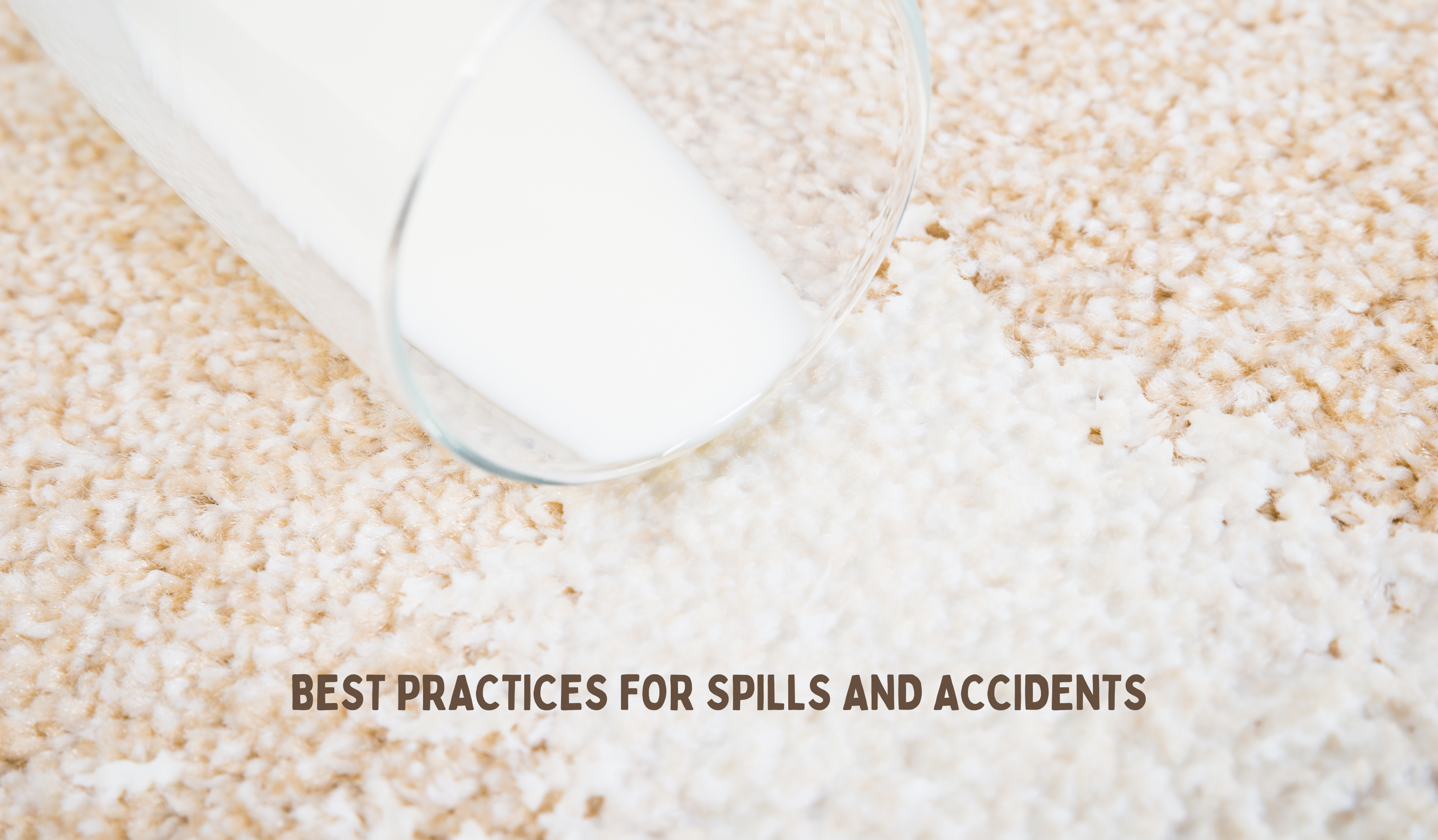 Carpet Cleaning Melbourne | Best Practices for Spills and Accidents on Carpet