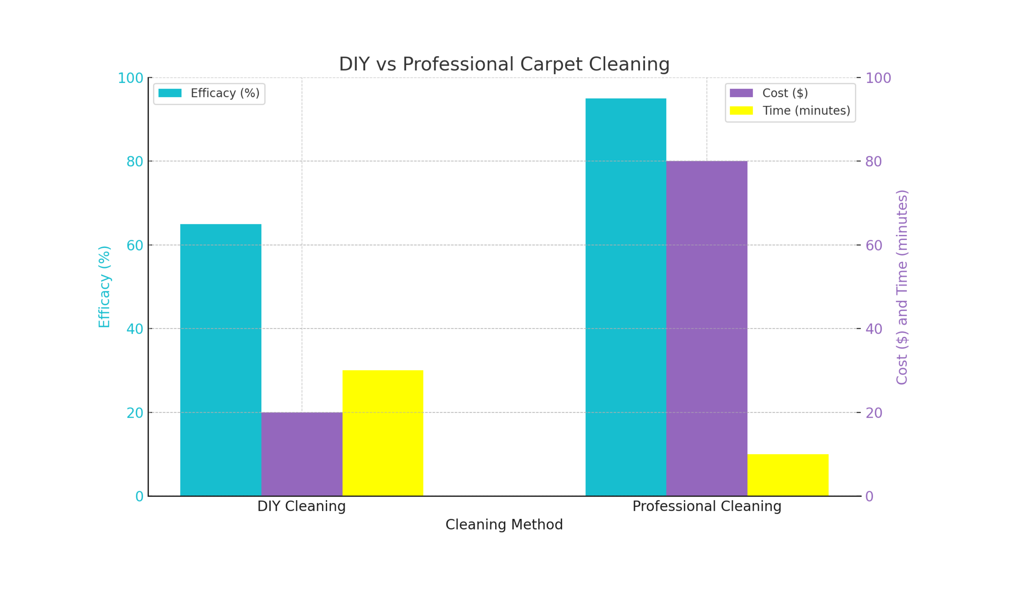 Carpet Cleaning Melbourne | Comparison of DIY vs. professional carpet cleaning in terms of efficacy, cost, and time.