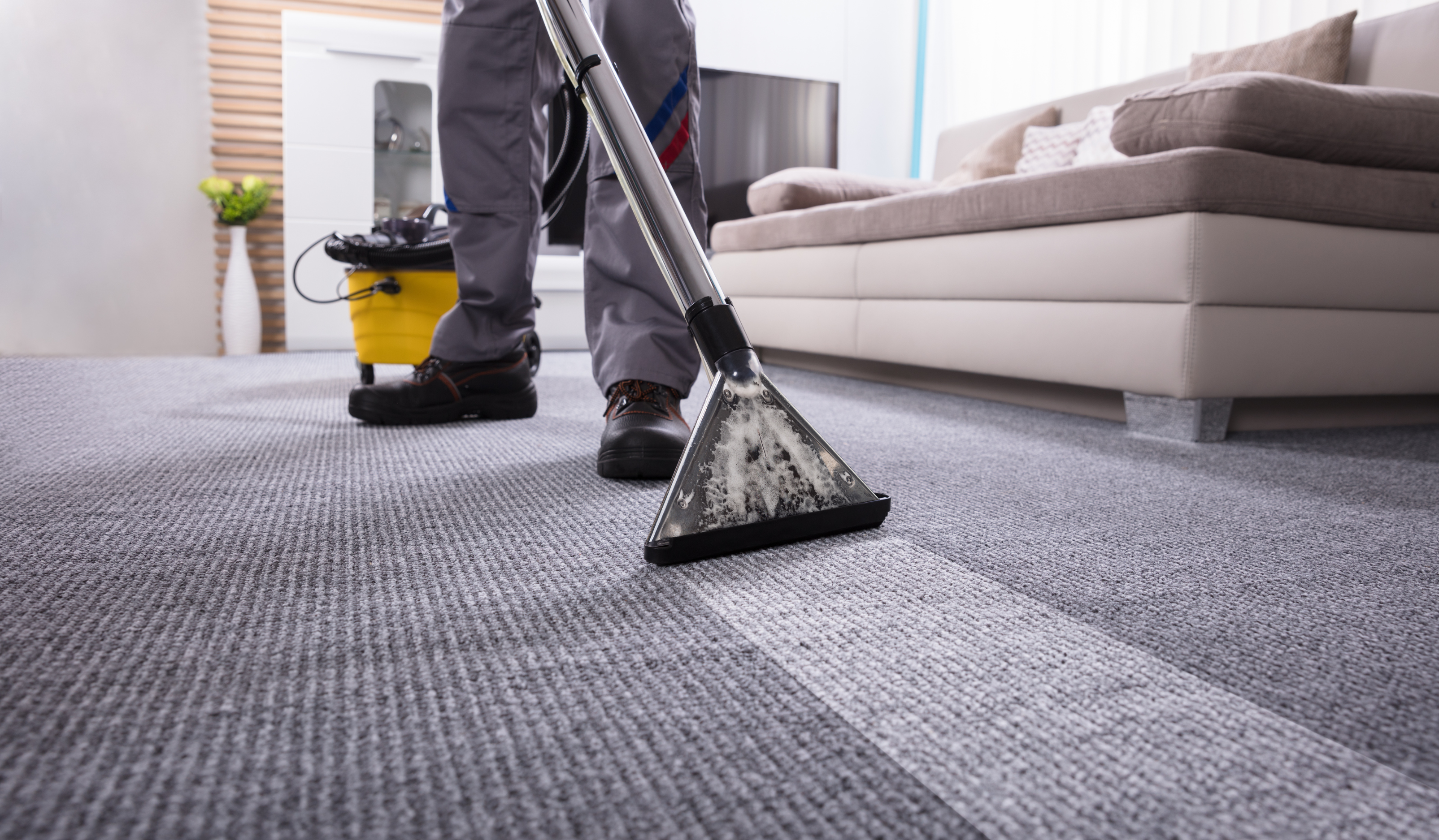 Carpet Cleaning Melbourne | A guy cleaning the carpet extending carpet lifespan