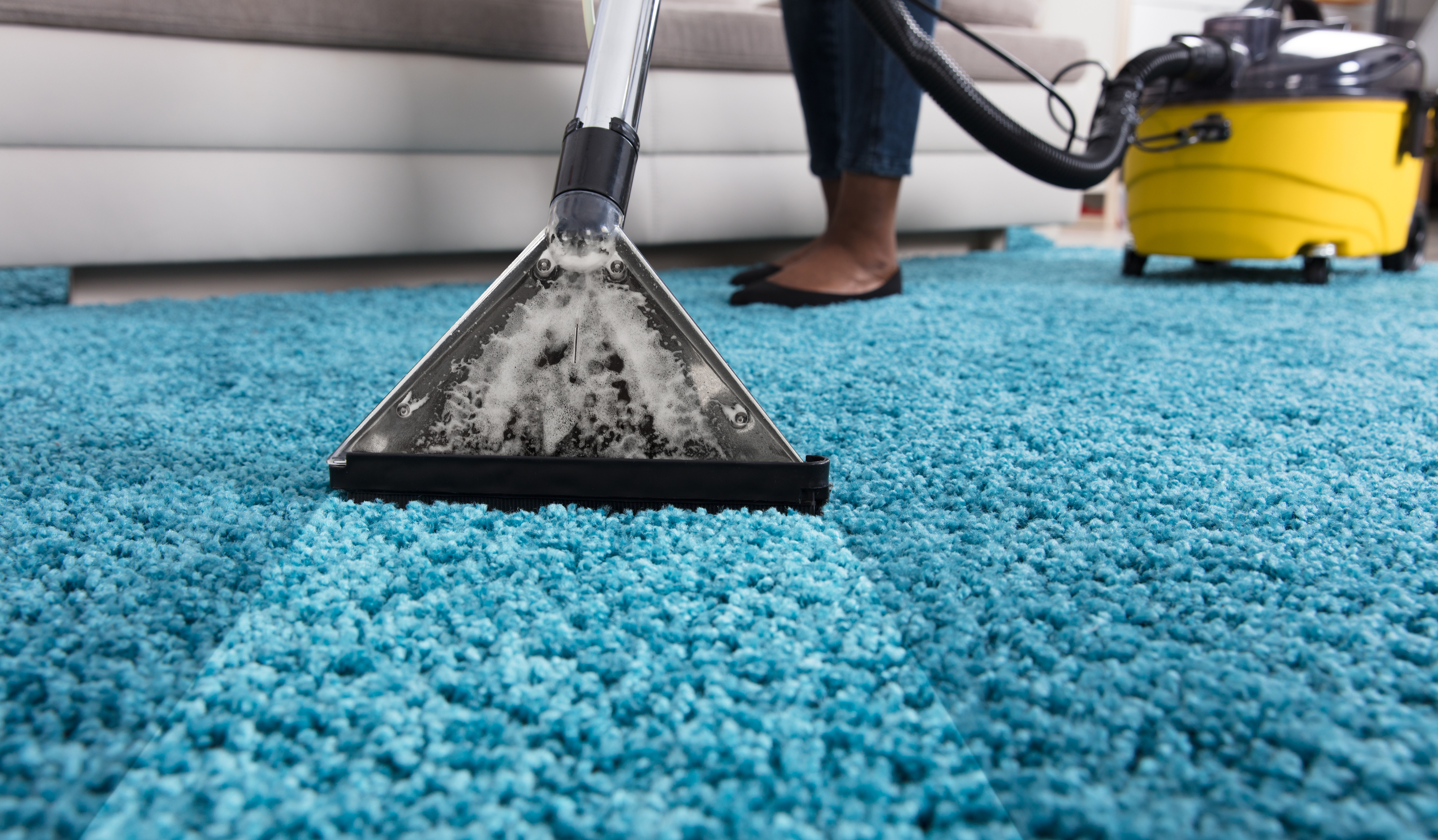 Carpet Cleaning Melbourne | A professional carpet cleaner extending carpet lifespan by thoroughly cleaning it