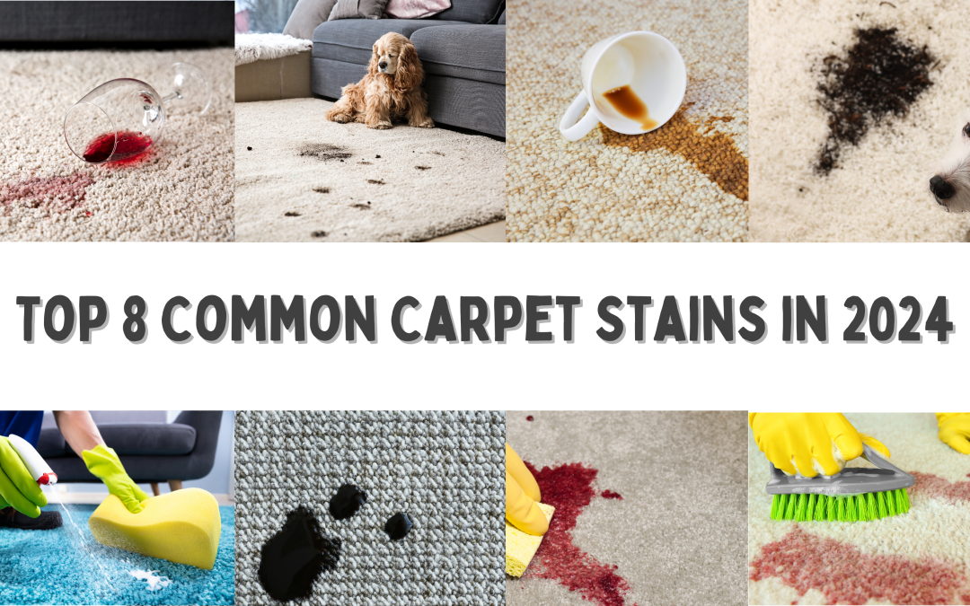 Top 8 Common Carpet Stains and How to Remove Them in 2024: Expert Tips