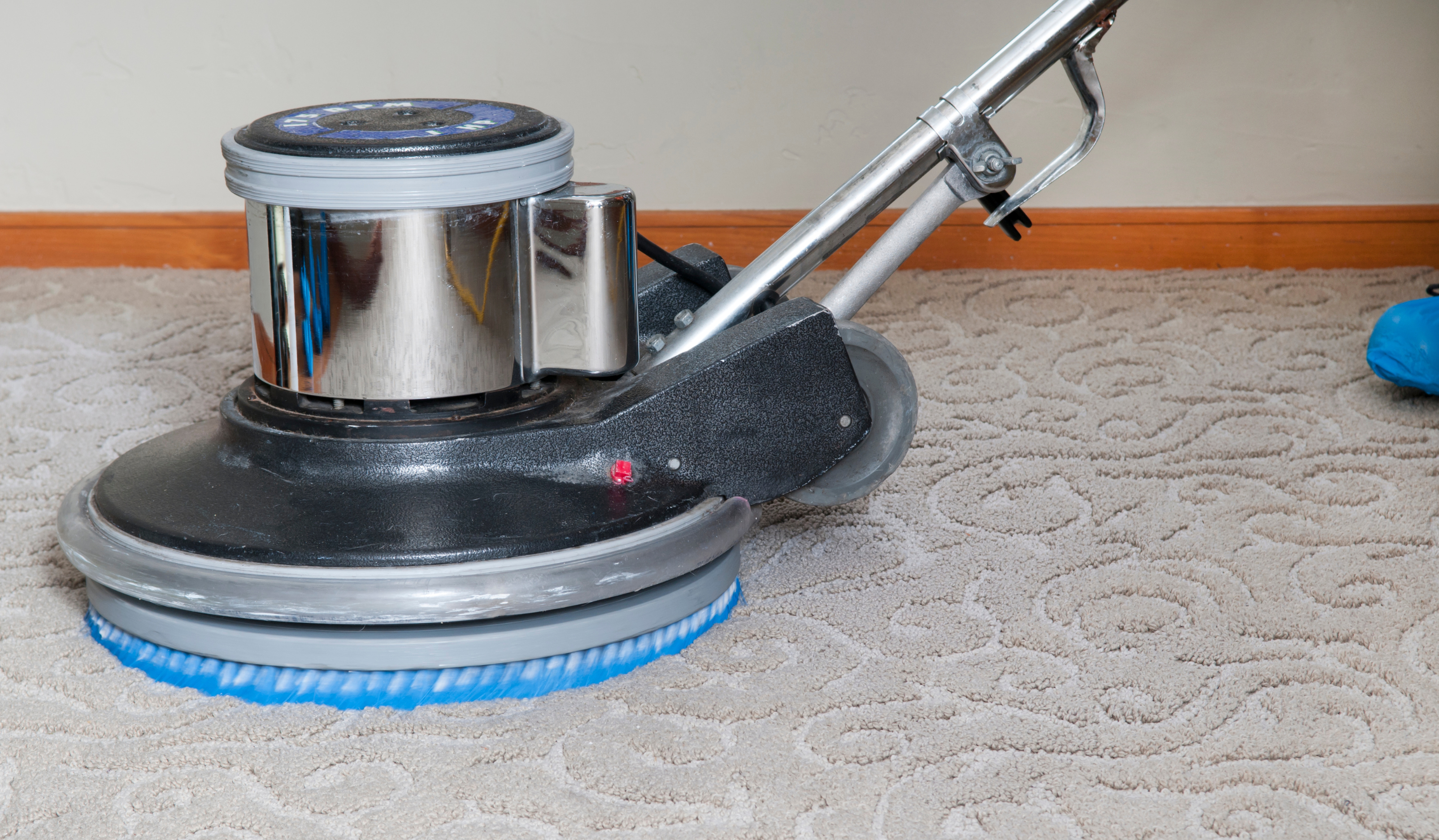 Carpet Cleaning Melbourne | Professional Carpet Cleaners