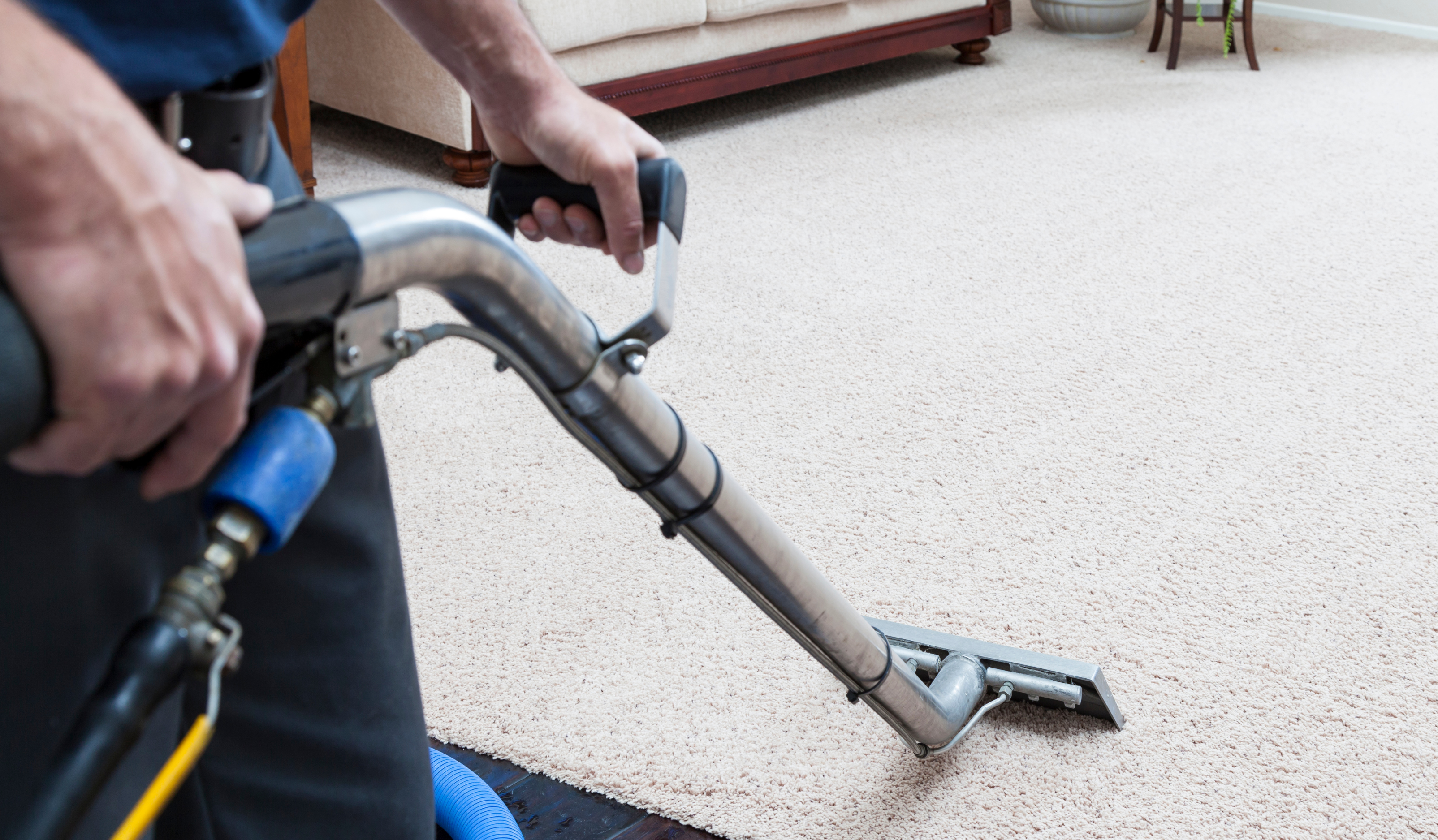 Carpet Cleaning Melbourne | Regular Maintenance of Wool Carpet