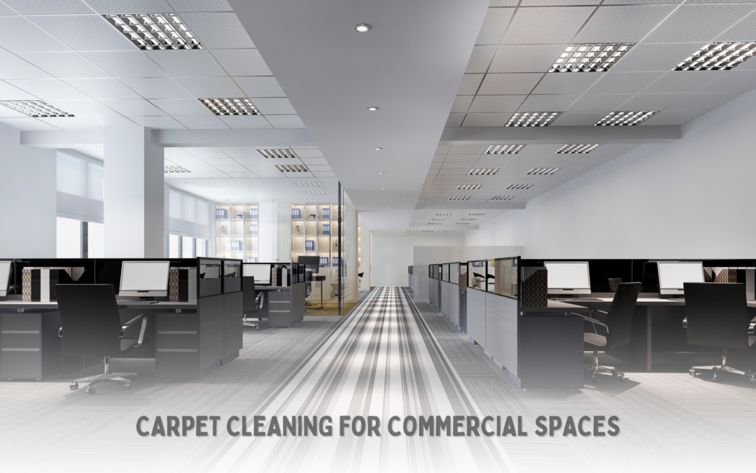 Carpet Cleaning for Commercial Spaces: What Melbourne Businesses Need to Know