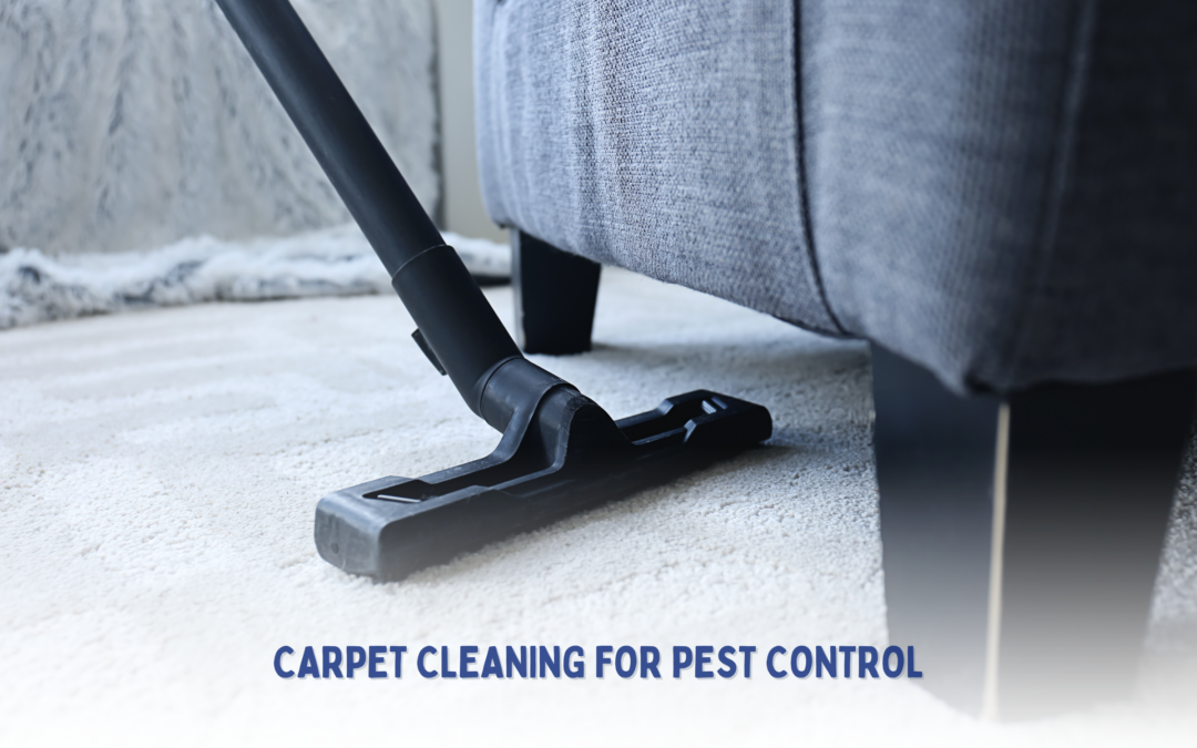 The Role of Carpet Cleaning in Pest Control